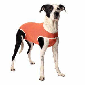 Startpakke CopperBody Classic