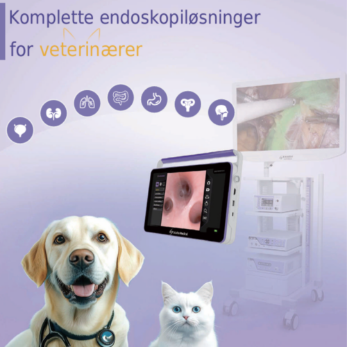 Komplette Endoskopilosningerfor veterinærer